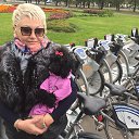 ���� ������, ������, 64 ���� - ��������� 21 ������� 2017 � ������ ���� ����������