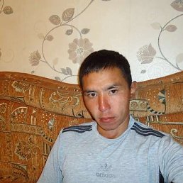 �����, ��������, 37 ���