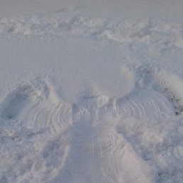 ���� Alina, ��������� - ��������� 15 ����� 2018