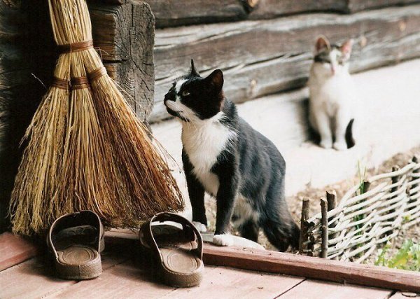 ����������� ���� ��� ��������� ��� ������� - 3