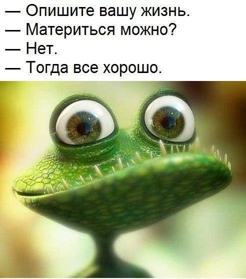    - 13  2018  07:41