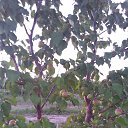 ���� Farrukh Sattorov, �������, 46 ��� - ��������� 19 ��� 2018 � ������ ���� ����������