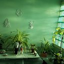 ���� ����, ����, 69 ��� - ��������� 8 ������� 2017 � ������ ���� ����������