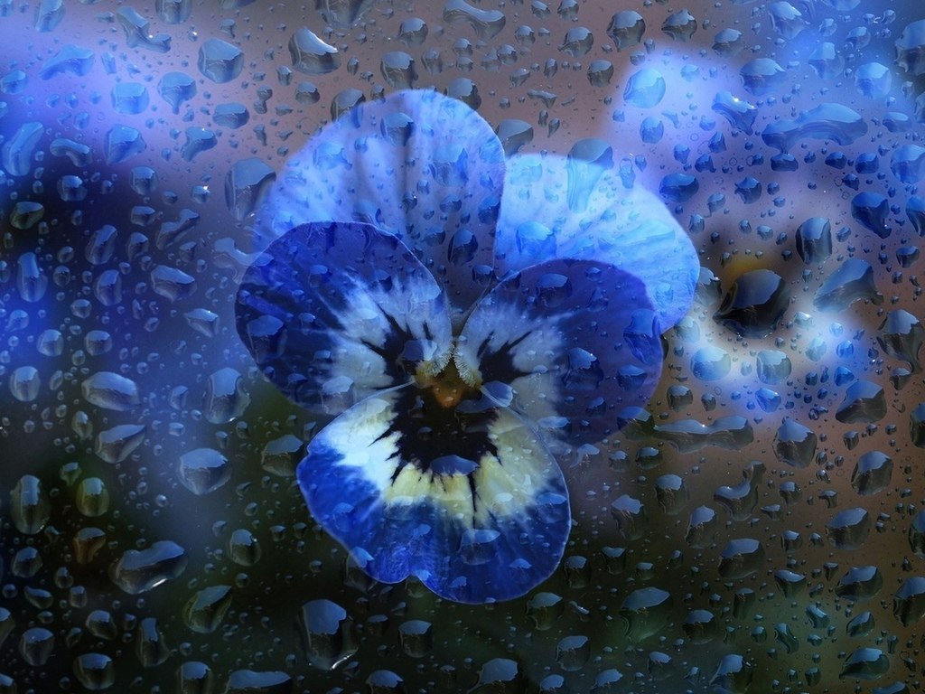 . - 18  2018  17:43
