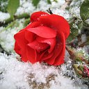 ���� Walesam, �������� ���, 76 ��� - ��������� 22 ������ 2018 � ������ ������ ��������