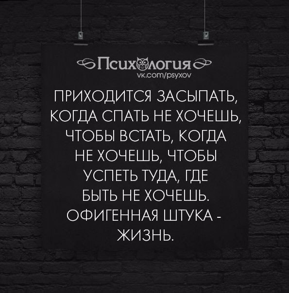  - 21  2017  03:28