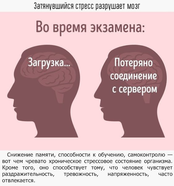 9 примеров того, как мы влияем на свой мозг - 5
