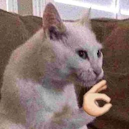 &Epsilon;������, ��������, 24 ����