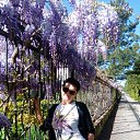 ���� ����, ����� - ��������� 7 ������ 2018