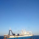 ���� �������, �����������, 49 ��� - ��������� 5 ����� 2018 � ������ ���� ����������