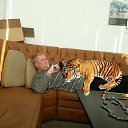 ���� ������, ������ - ��������� 3 ����� 2018 � ������ ���� ����������