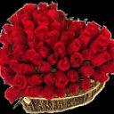 ���� �������, ���������� �����, 65 ��� - ��������� 5 ������� 2018 � ������ ���� ����������