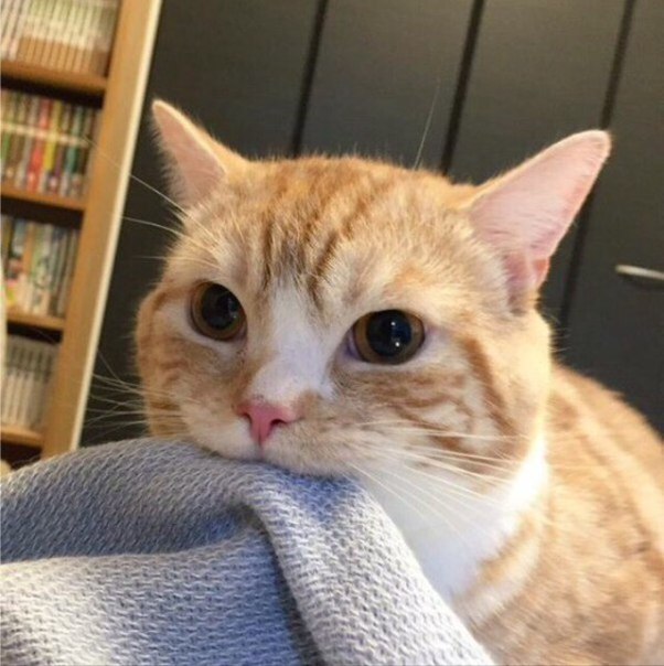   7 -   ... )