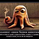 ���� �������, ������� - ��������� 25 ������� 2017 � ������ ������ ��������