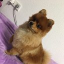 ���� ����, ����, 55 ��� - ��������� 17 ������� 2018 � ������ ���� ����������