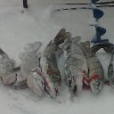 ���� ������, ������ - ��������� 25 ������� 2017 � ������ ���������������� �������� - ������� � ���������!�