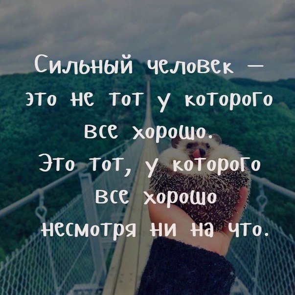  |   - 5  2018  02:41