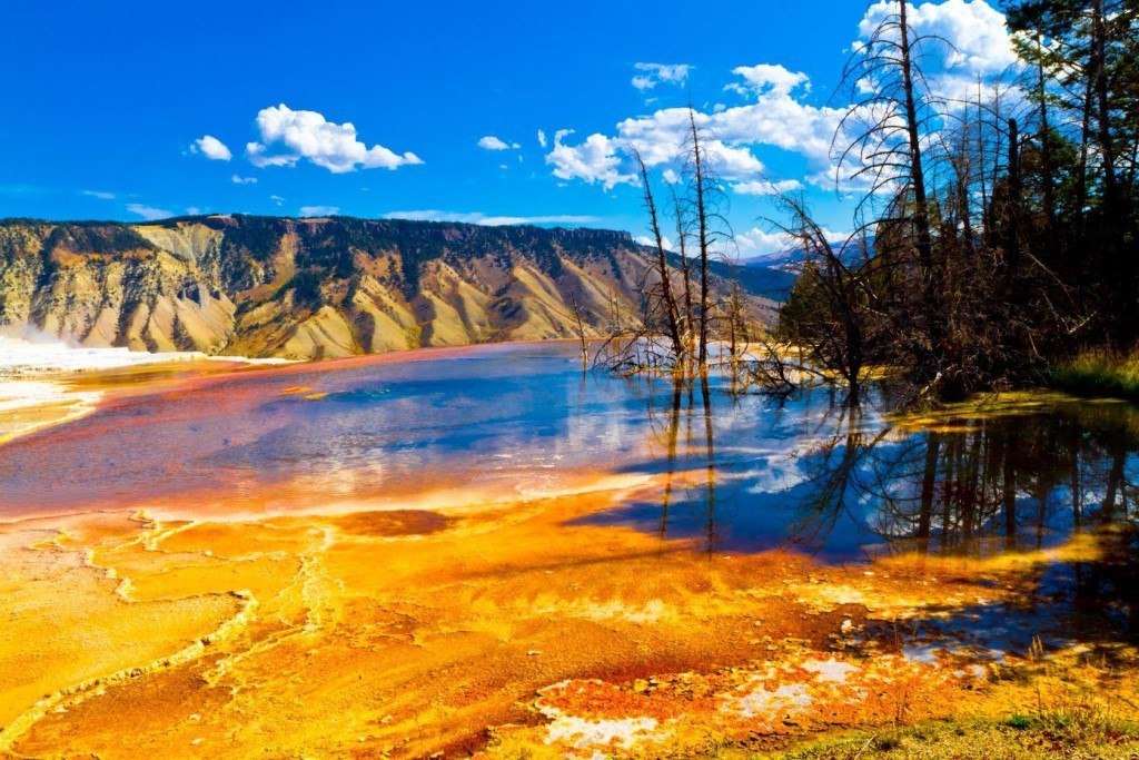 Yellowstone National Park - 3