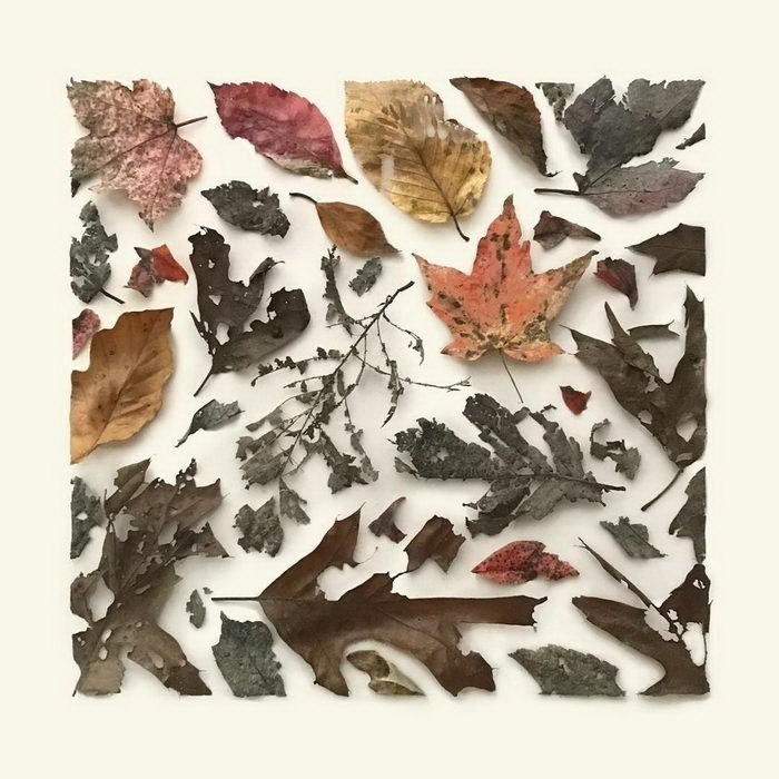      (Kristen Meyer)         ... - 5