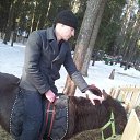 ���� �����, �����-���������, 39 ��� - ��������� 12 ������� 2017 � ������ ���� ����������