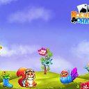 ���� ���, �����-��������� - ��������� 29 ������� 2017 � ������ �������� �������-�������