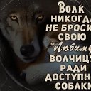 ���� ��������, �������, 56 ��� - ��������� 18 ������ 2018 � ������ ���� ����������