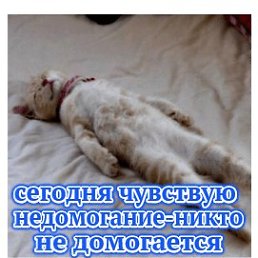 ���� ������, ������, 56 ��� - ��������� 15 ������ 2018