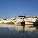 ���� ����, ���, 49 ��� - ��������� 15 ������ 2018 � ������ ������� ��� � ��������