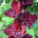 ���� �����, ������ - ��������� 13 ���� 2018 � ������ ���� ���������