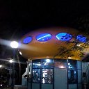 ���� �����, ����, 55 ��� - ��������� 8 ���� 2018 � ������ ���� ����������