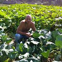 ���� ������, ������, 50 ��� - ��������� 8 ���� 2018 � ������ ���� ����������