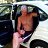 ���� ##### (�� �����, �� ���������, �� �������������, ������, 58 ��� - ��������� 21 ������� 2017