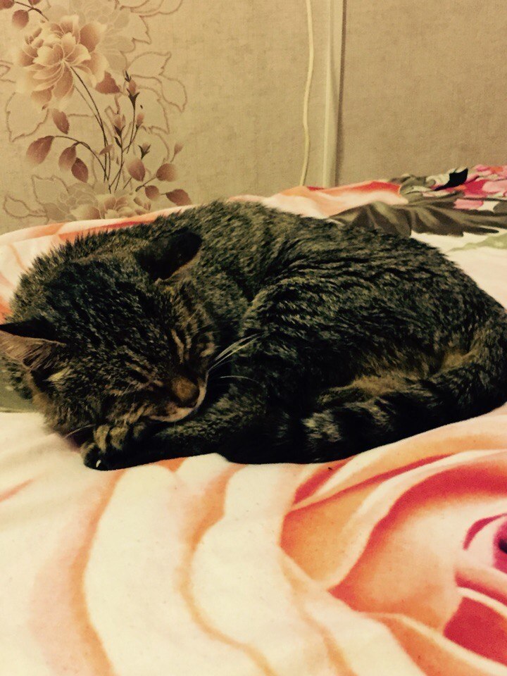 #_. .  21     15    (     ...