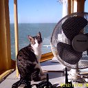 ���� ������, �����-���������, 67 ��� - ��������� 6 ����� 2018 � ������ ���� ����������