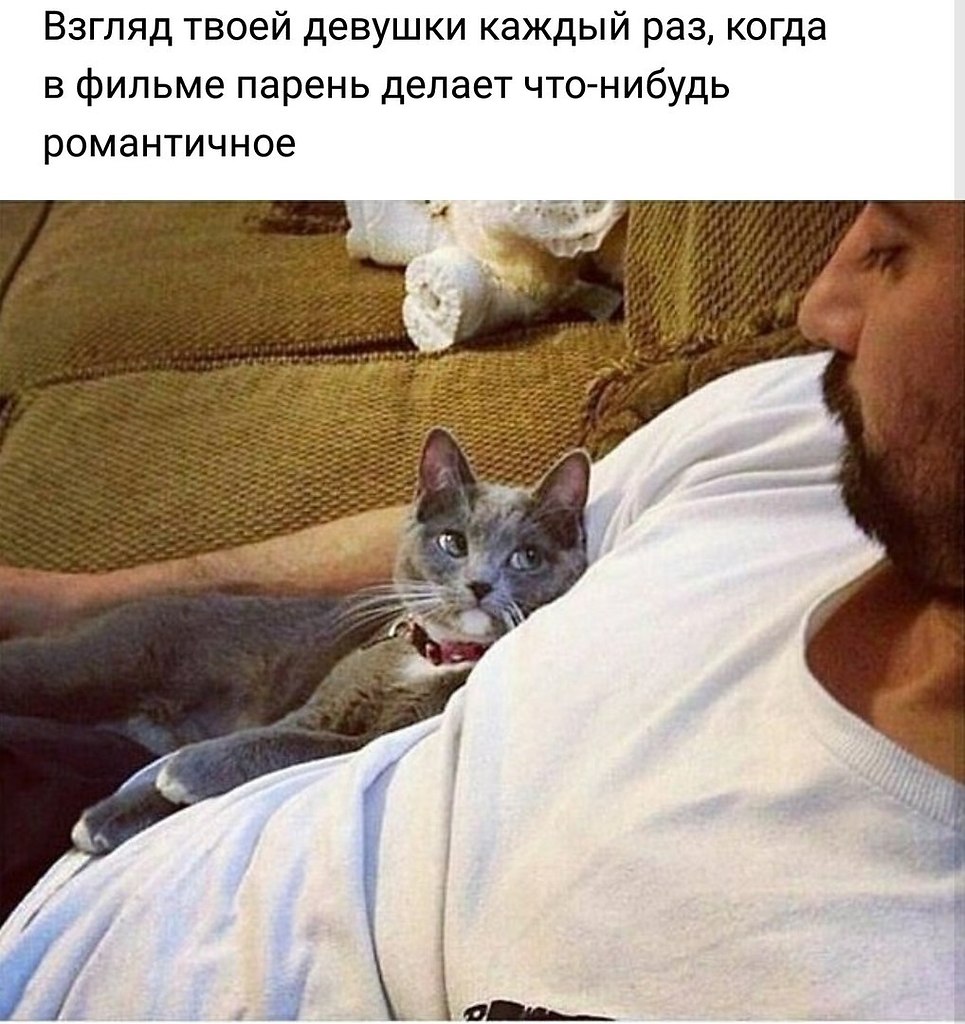   - 24  2018  03:29