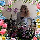 ���� ����, ���� - ��������� 29 ��� 2018 � ������ ���� ����������