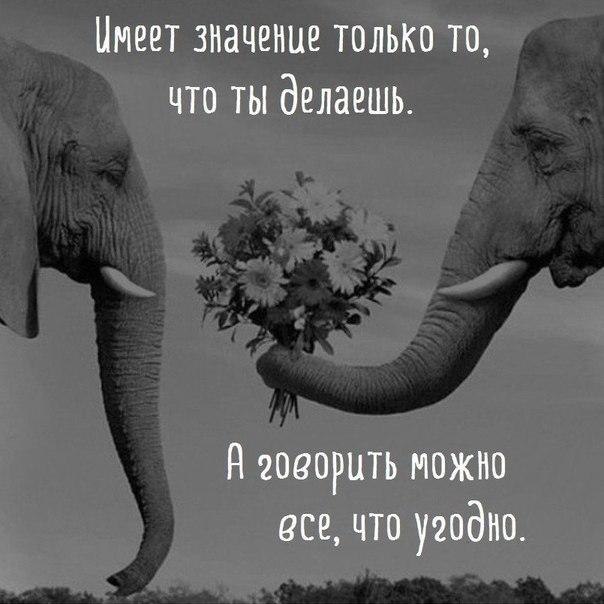    - 10  2018  07:36