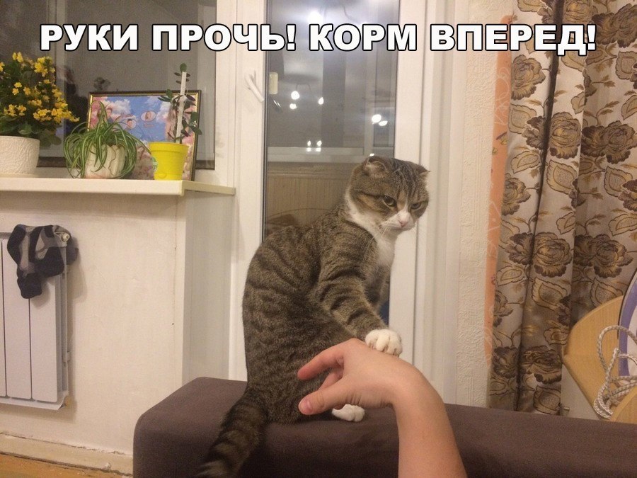    :D - 9  2018  03:44
