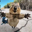 ���� A, ���� - ��������� 21 ������ 2018 � ������ ������ ��������