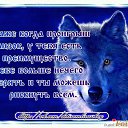 ���� Amarok, �������, 45 ��� - ��������� 21 ������ 2018 � ������ ���� ������