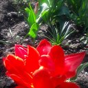 ���� Valentina, ��������������, 60 ��� - ��������� 26 ������ 2018 � ������ ������ ��������