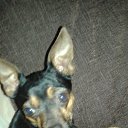 �����) �� ������� ���� ����������