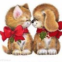  Aleksandr, , 47  -  19  2018    