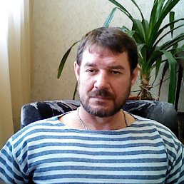 ����, ���������, 51 ���