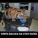 ���� ��������, ������, 52 ���� - ��������� 22 ������ 2018 � ������ ���� ����������