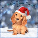 ���� ������, ������ - ��������� 2 ���� 2018 � ������ ���� ����������