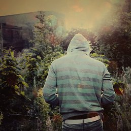 ���� ������, �����, 48 ��� - ��������� 21 ������ 2017