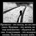 ���� �����, �������, 48 ��� - ��������� 3 ������� 2017 � ������ �Avataria�