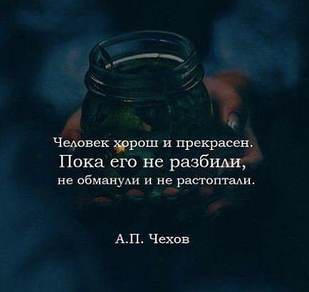 , , , ,  - 5  2017  03:34