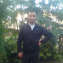 ����, �����-���������, 42 ����